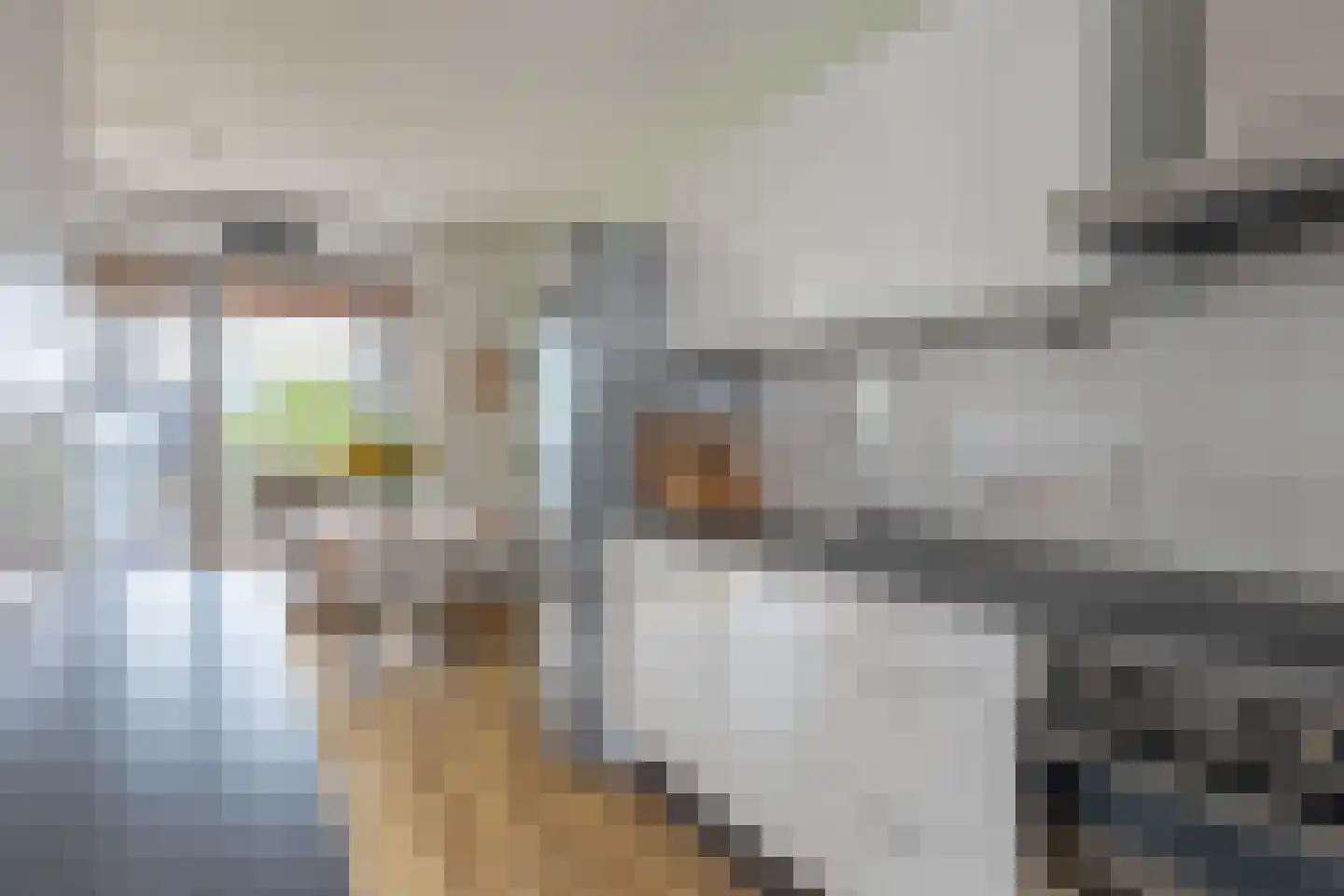 Schipluidenlaan 108 Amsterdam thumbnail 17