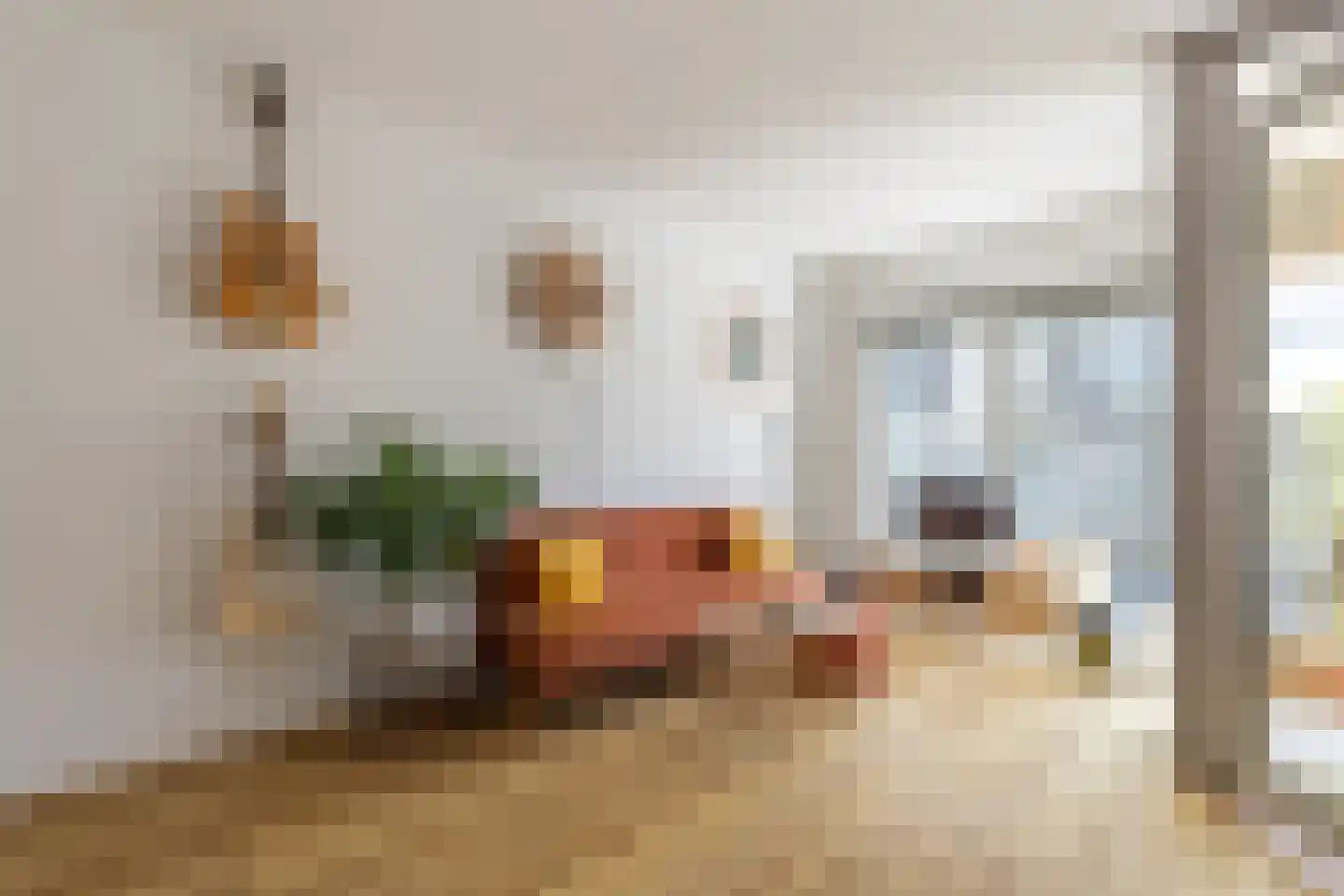Schipluidenlaan 108 Amsterdam thumbnail 8