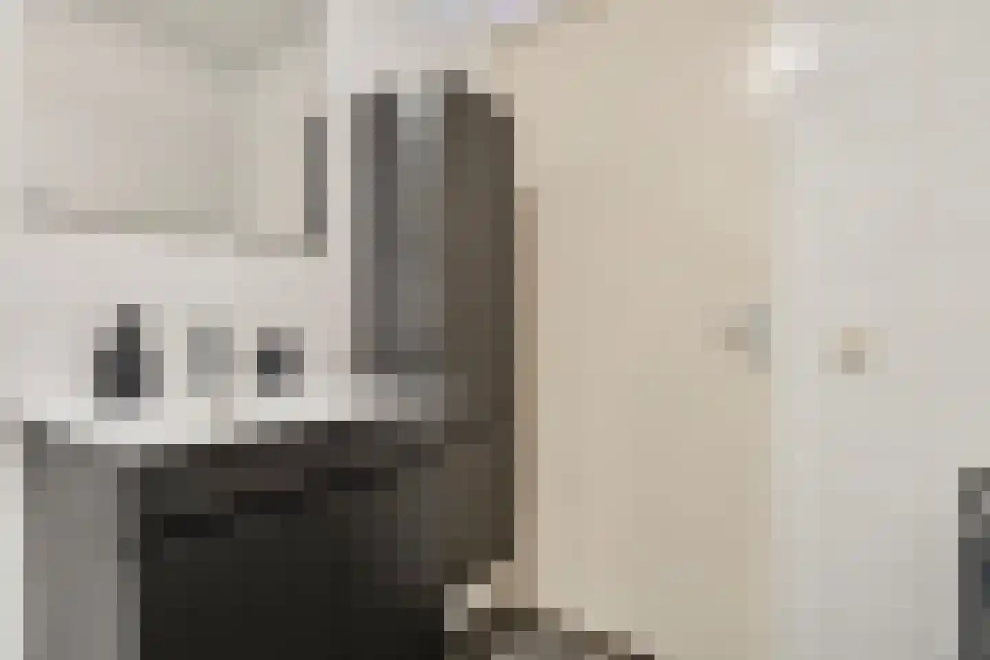 Schipluidenlaan 124 Tilburg thumbnail 14