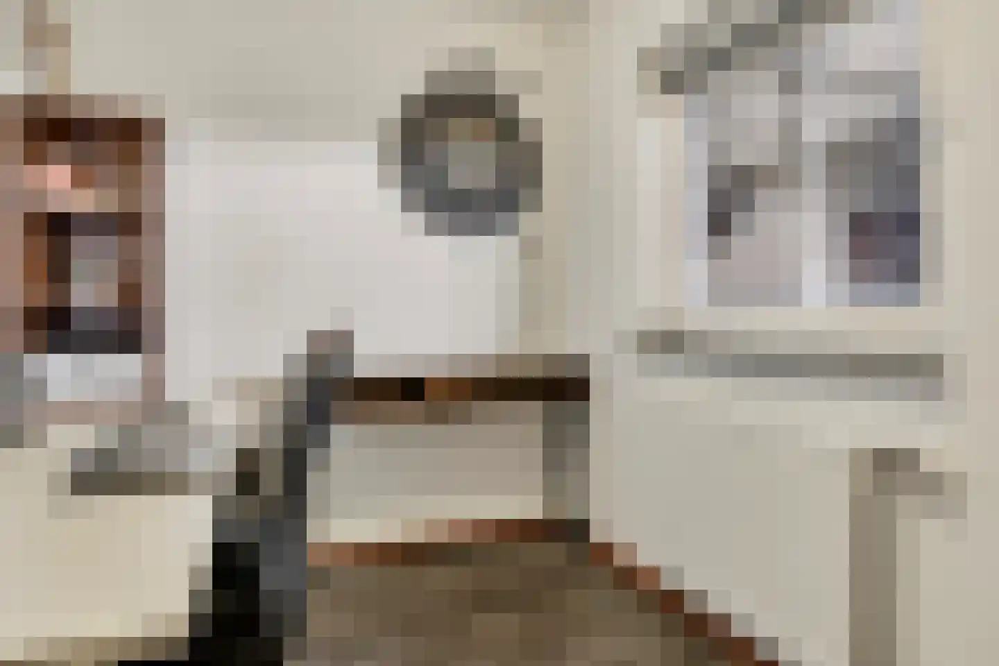 Schipluidenlaan 124 Tilburg thumbnail 20
