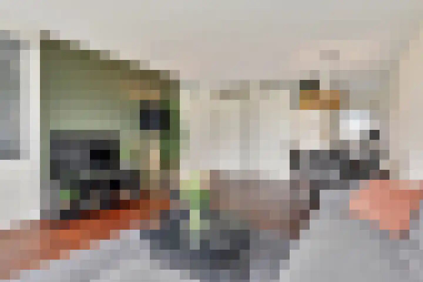 Schipluidenlaan 124 Tilburg thumbnail 4