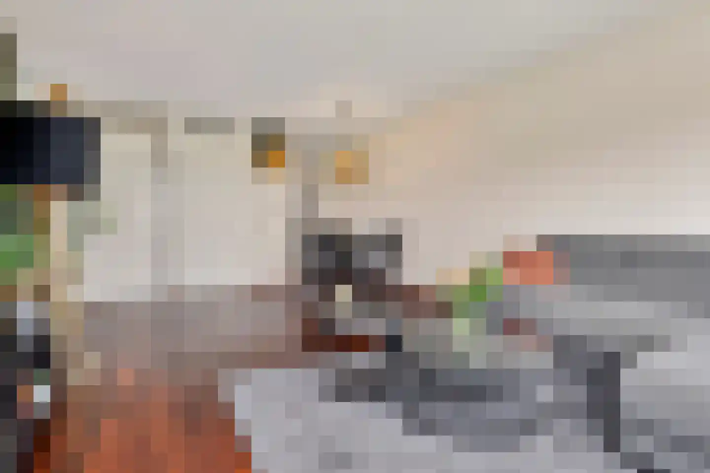 Schipluidenlaan 124 Tilburg thumbnail 6