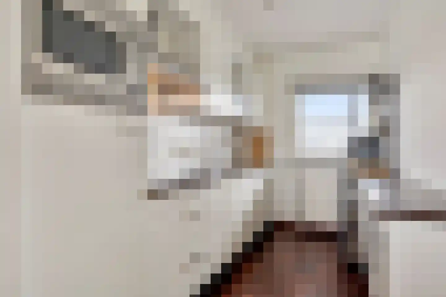 Schipluidenlaan 124 Tilburg thumbnail 8
