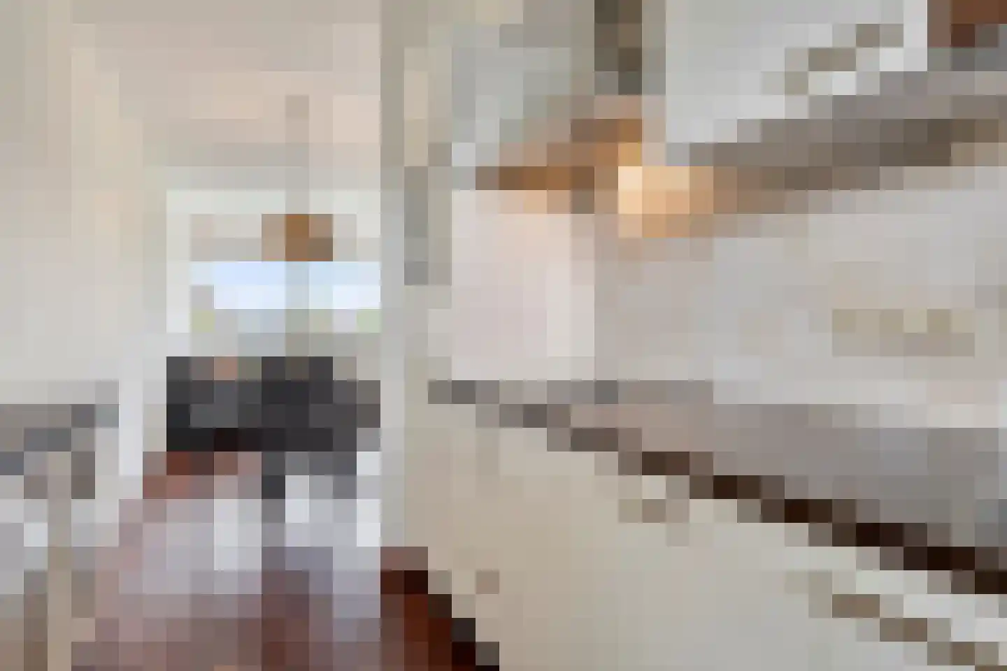 Schipluidenlaan 124 Tilburg thumbnail 9