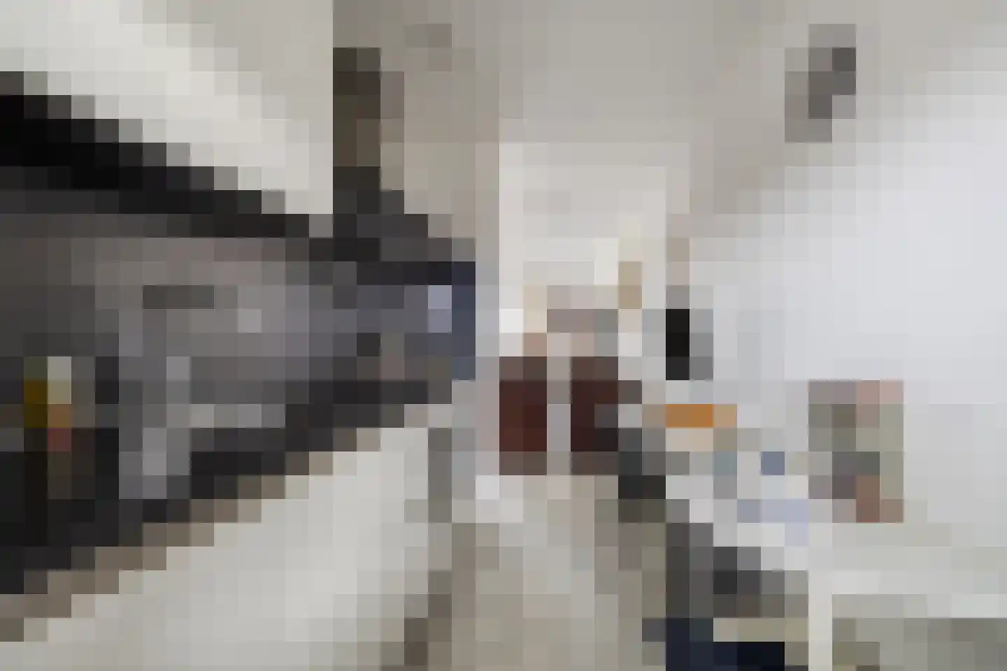Schipluidenlaan 14 Tilburg thumbnail 11