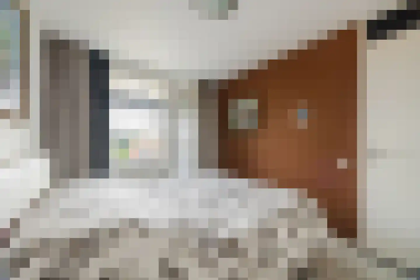 Schipluidenlaan 14 Tilburg thumbnail 12