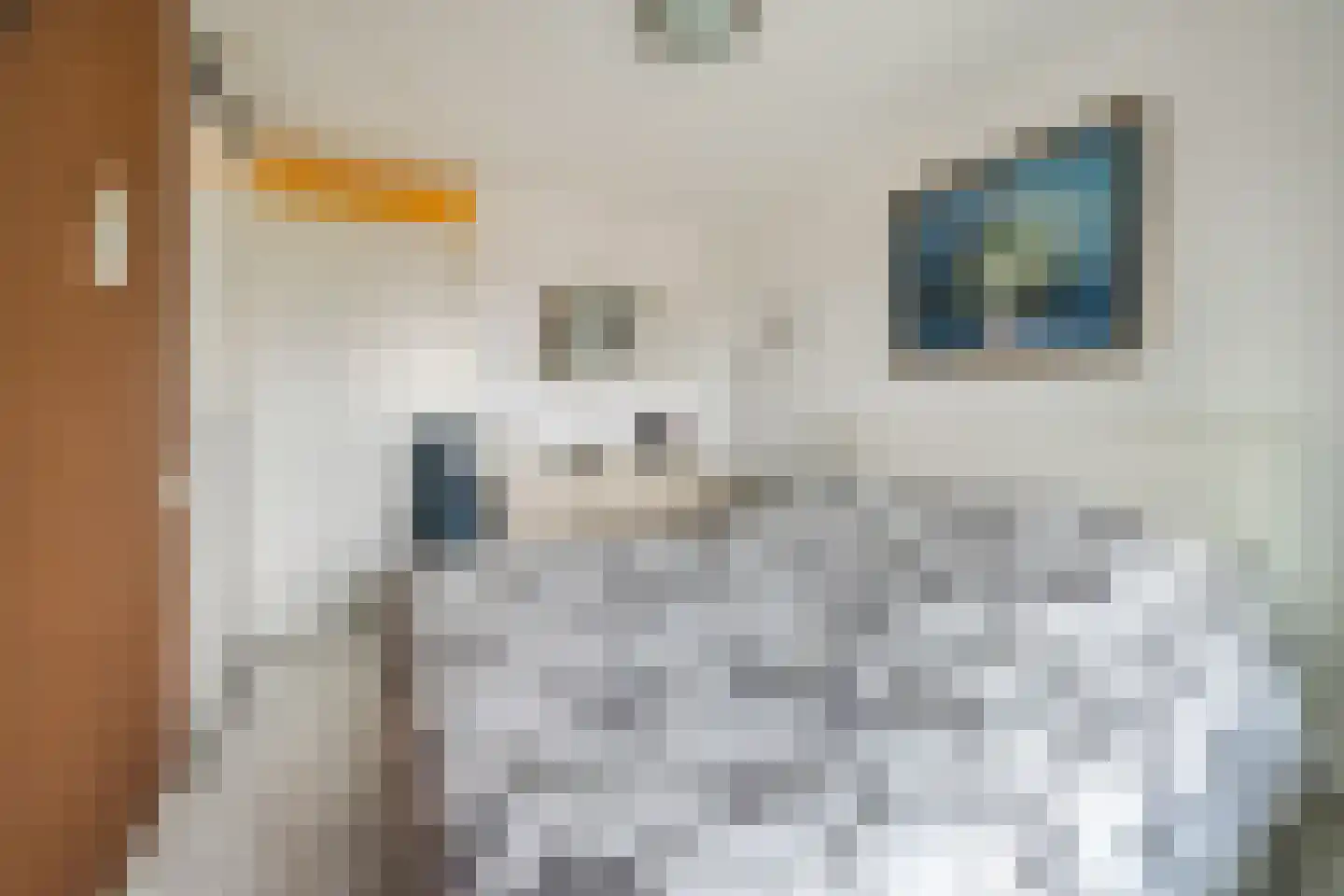 Schipluidenlaan 14 Tilburg thumbnail 13