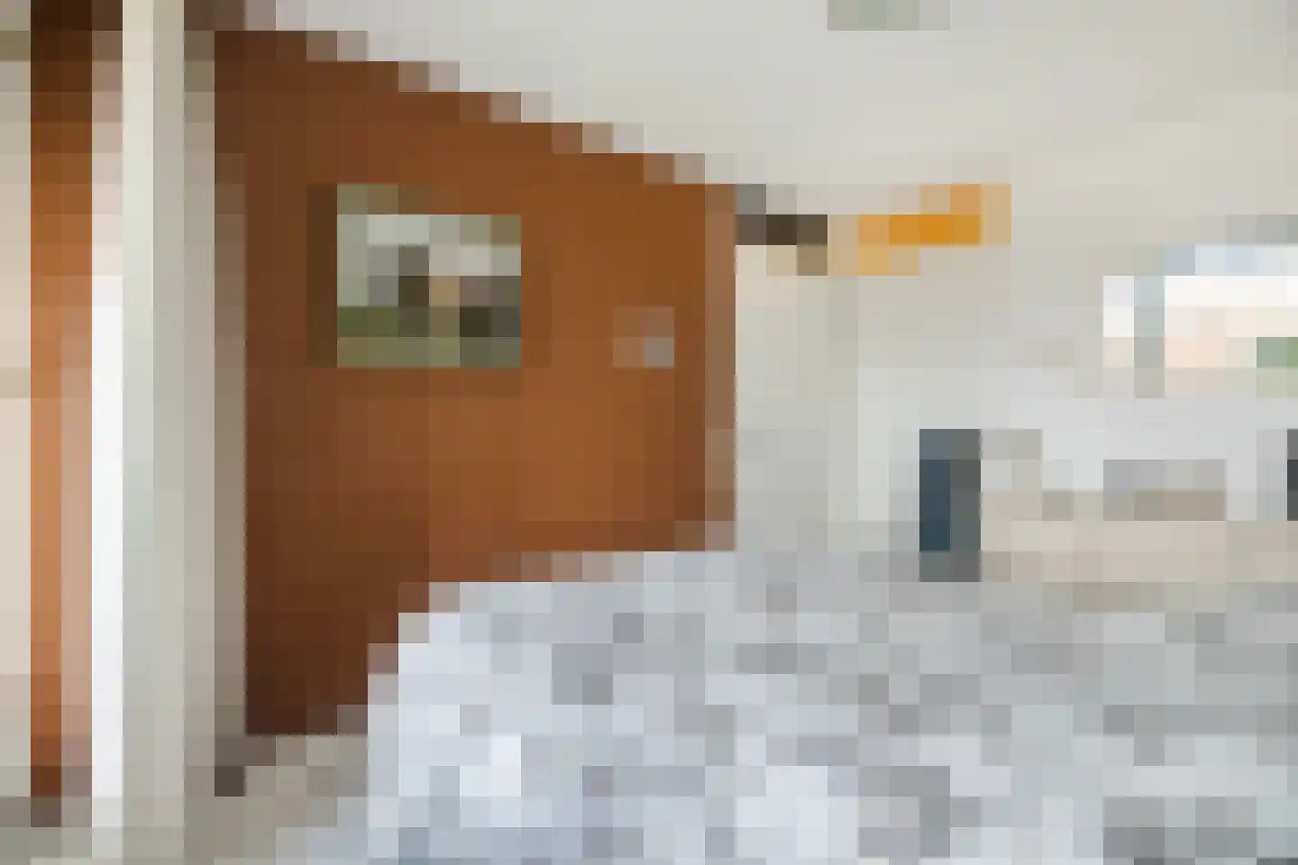 Schipluidenlaan 14 Tilburg thumbnail 14