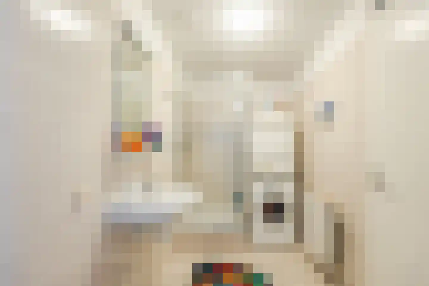Schipluidenlaan 14 Tilburg thumbnail 17