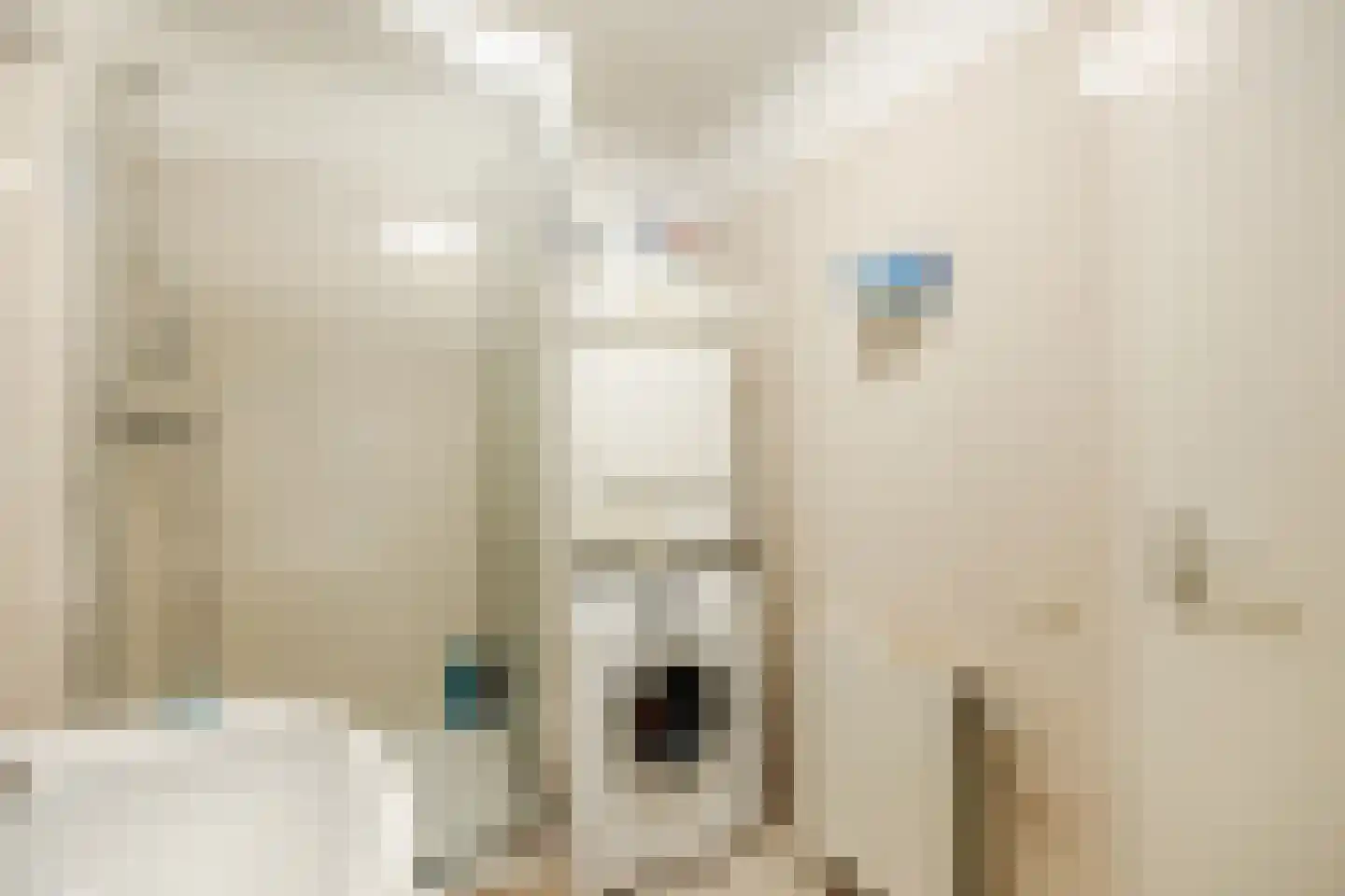 Schipluidenlaan 14 Tilburg thumbnail 18