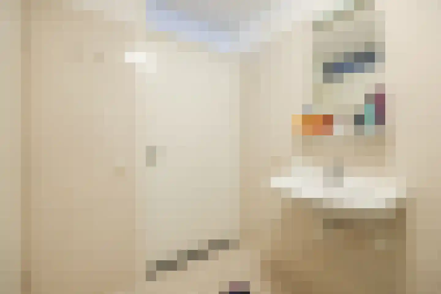 Schipluidenlaan 14 Tilburg thumbnail 19
