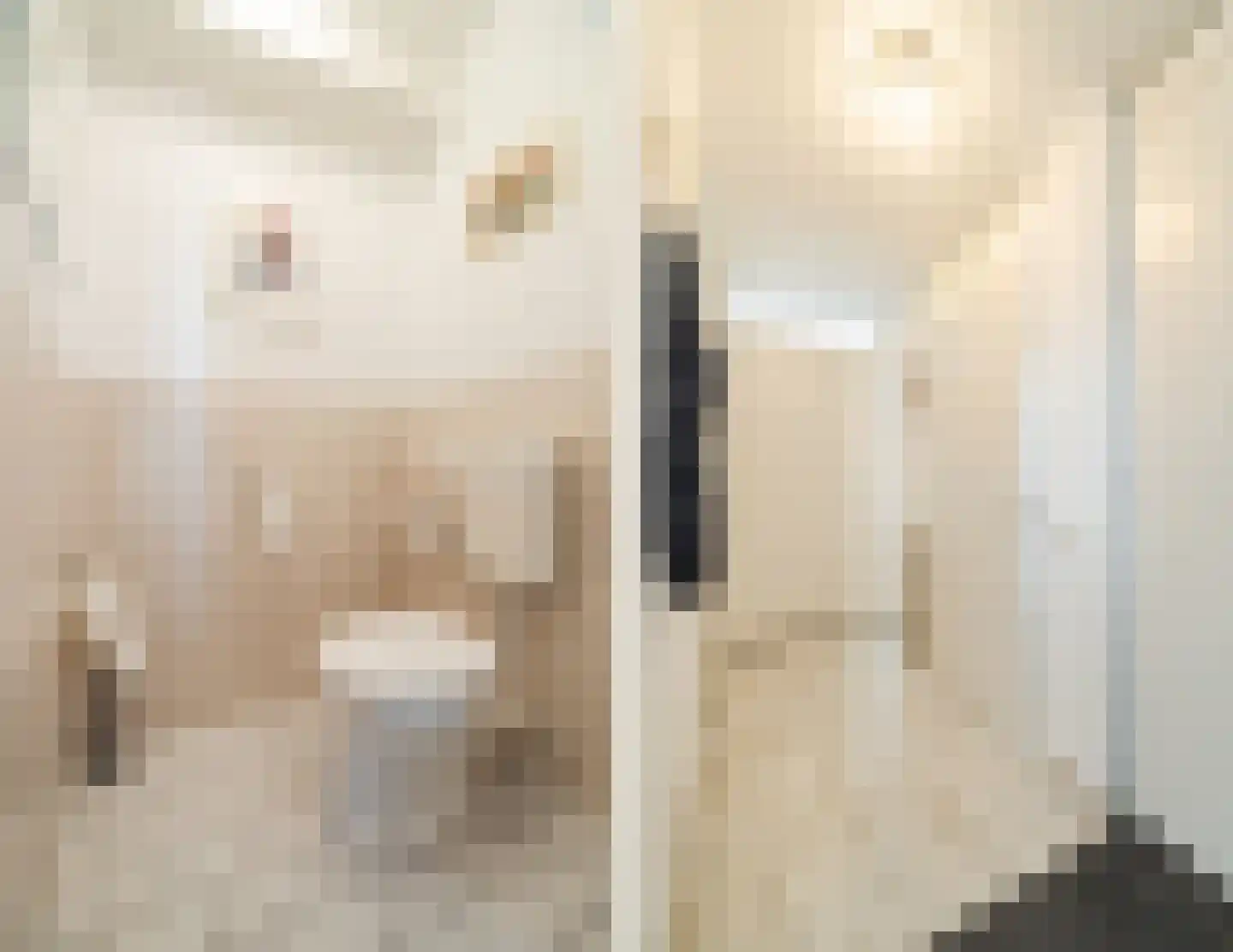 Schipluidenlaan 14 Tilburg thumbnail 23