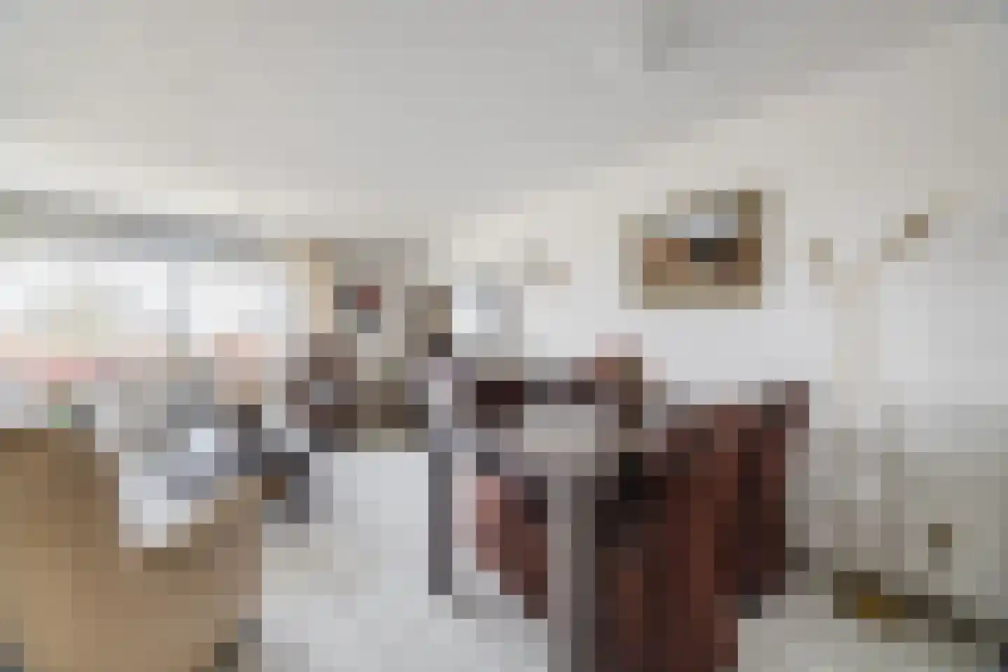 Schipluidenlaan 14 Tilburg thumbnail 4