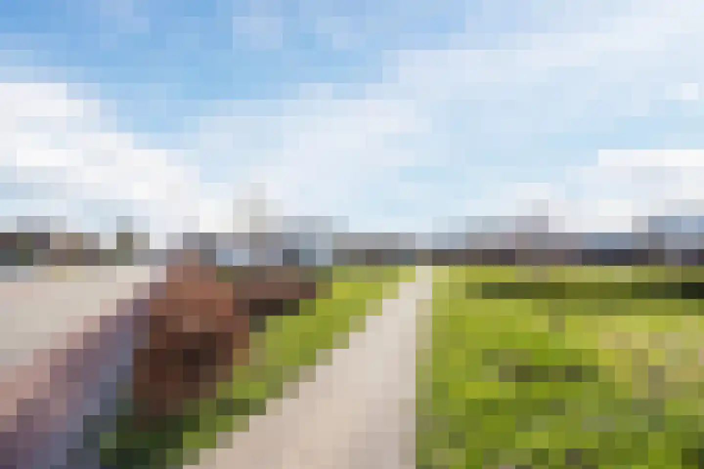 Schipluidenlaan 14 Tilburg thumbnail 42