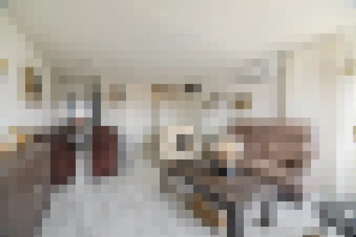 Schipluidenlaan 14 Tilburg thumbnail 7