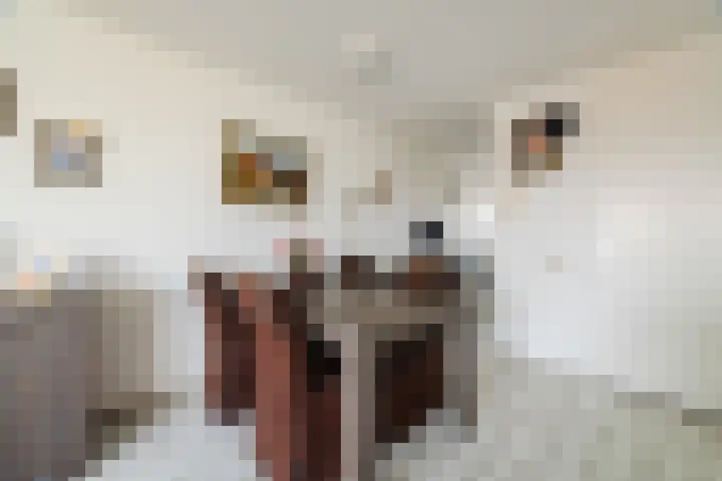 Schipluidenlaan 14 Tilburg thumbnail 8