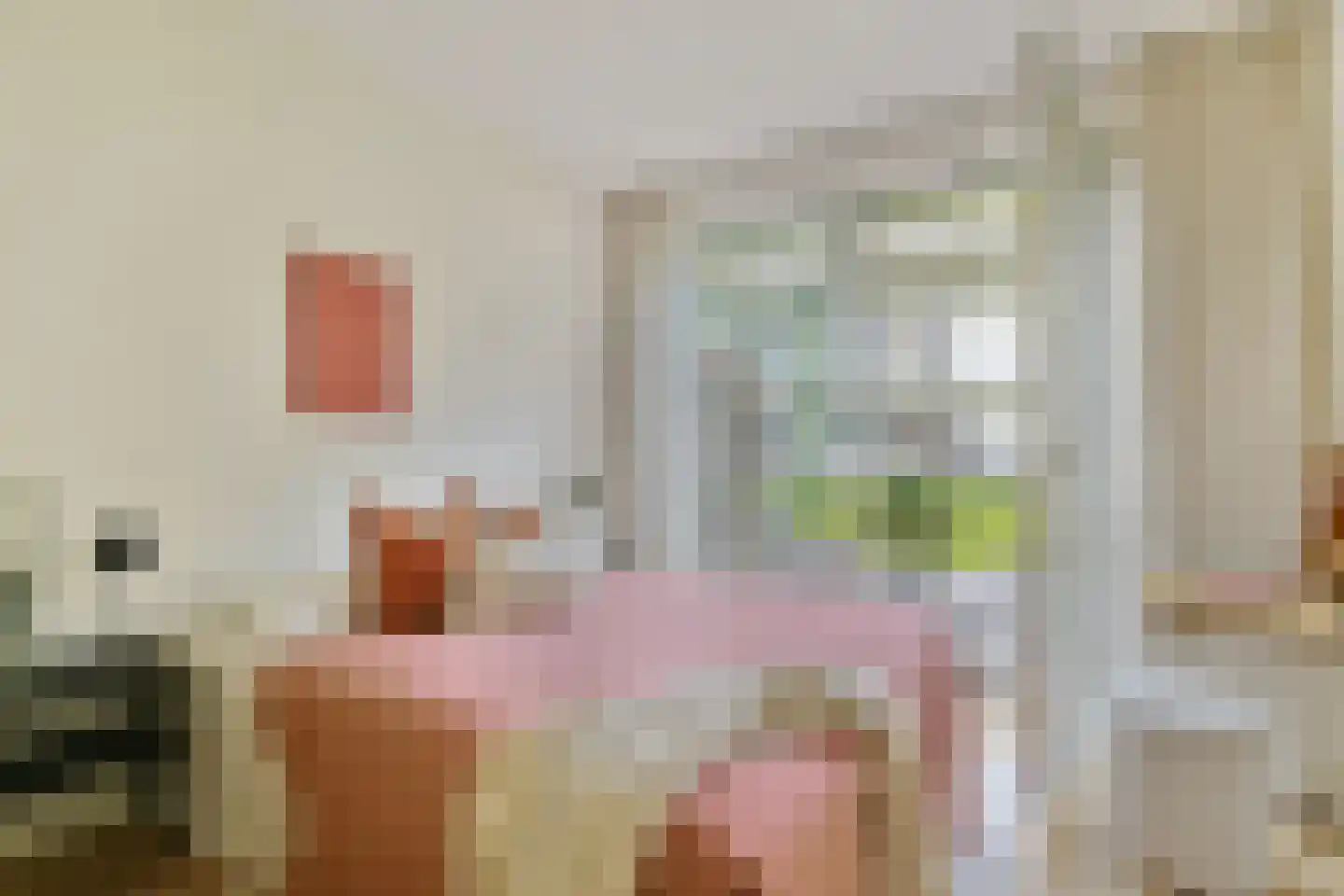 Schipluidenlaan 148 Amsterdam thumbnail 14