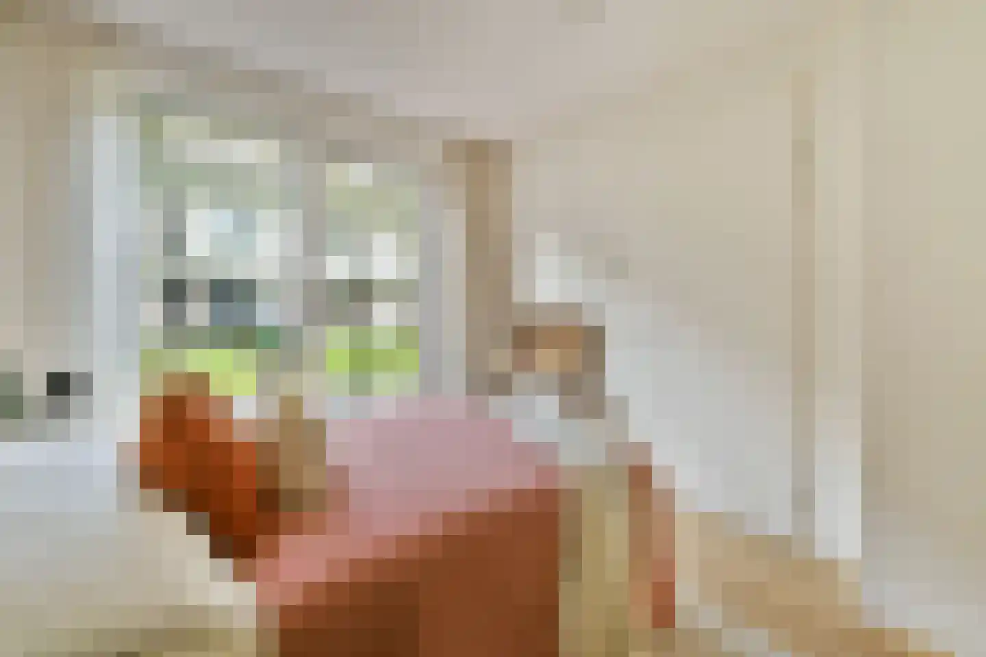 Schipluidenlaan 148 Amsterdam thumbnail 15