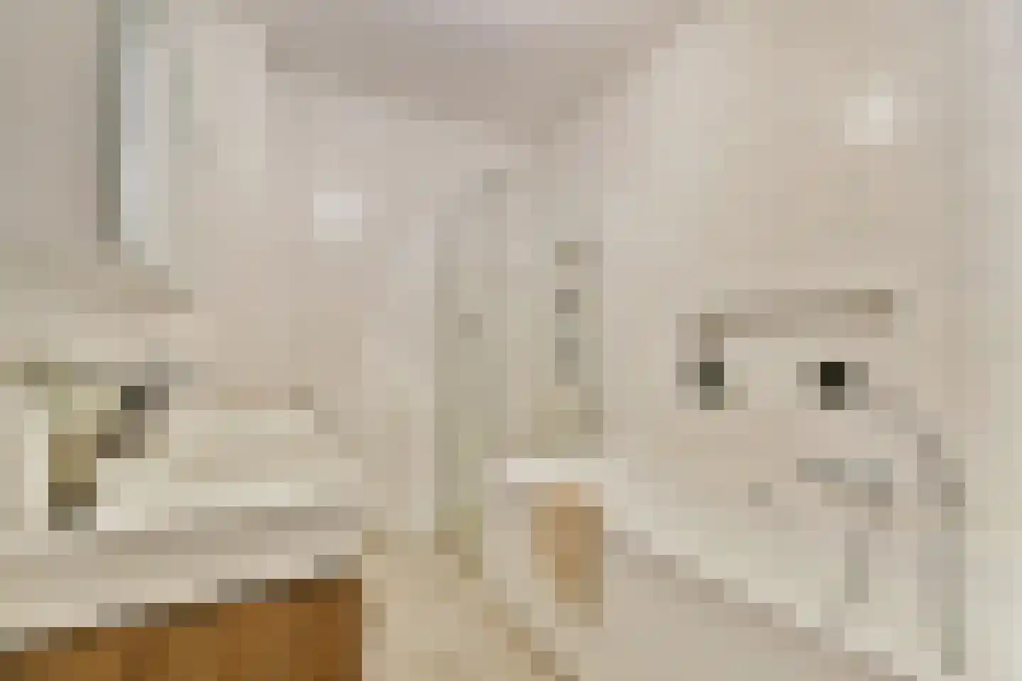Schipluidenlaan 148 Amsterdam thumbnail 20