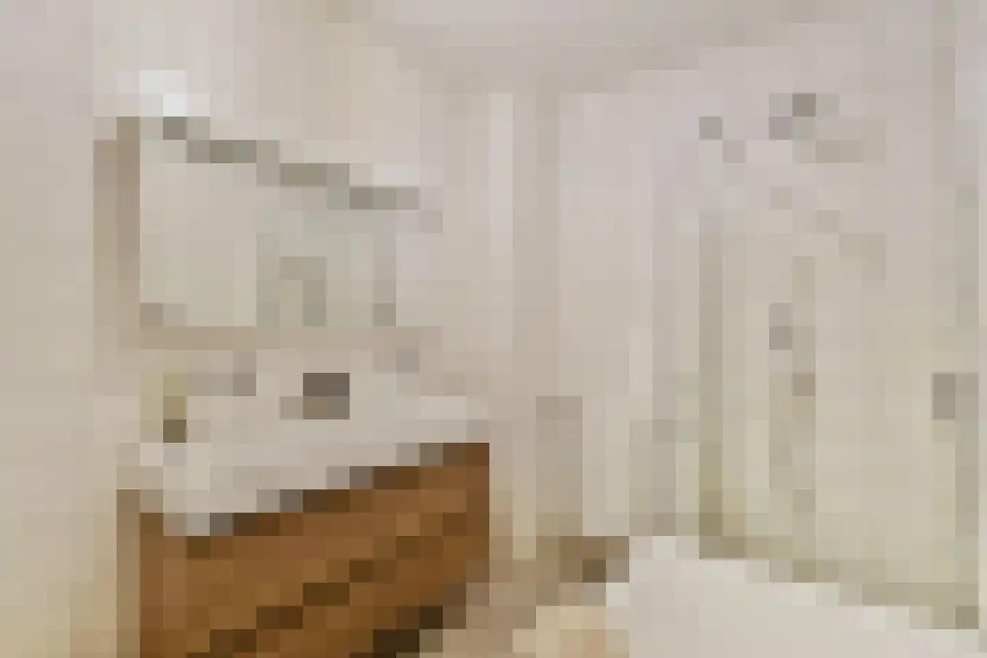 Schipluidenlaan 148 Amsterdam thumbnail 21