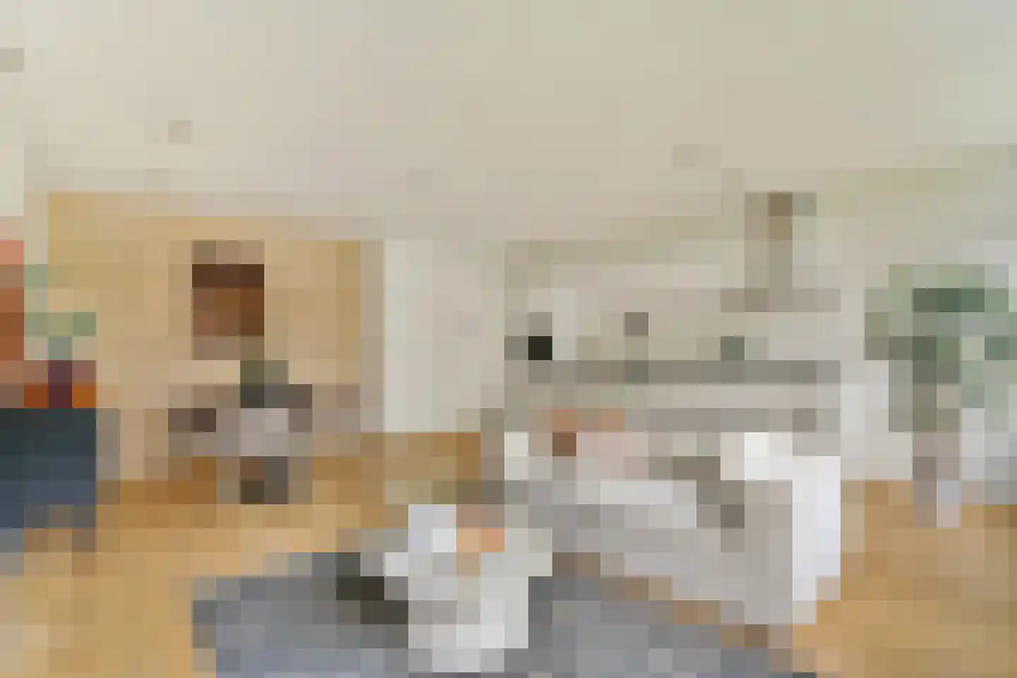 Schipluidenlaan 148 Amsterdam thumbnail 8