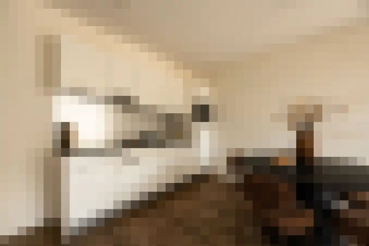 Schipluidenlaan 180 Amsterdam thumbnail 15