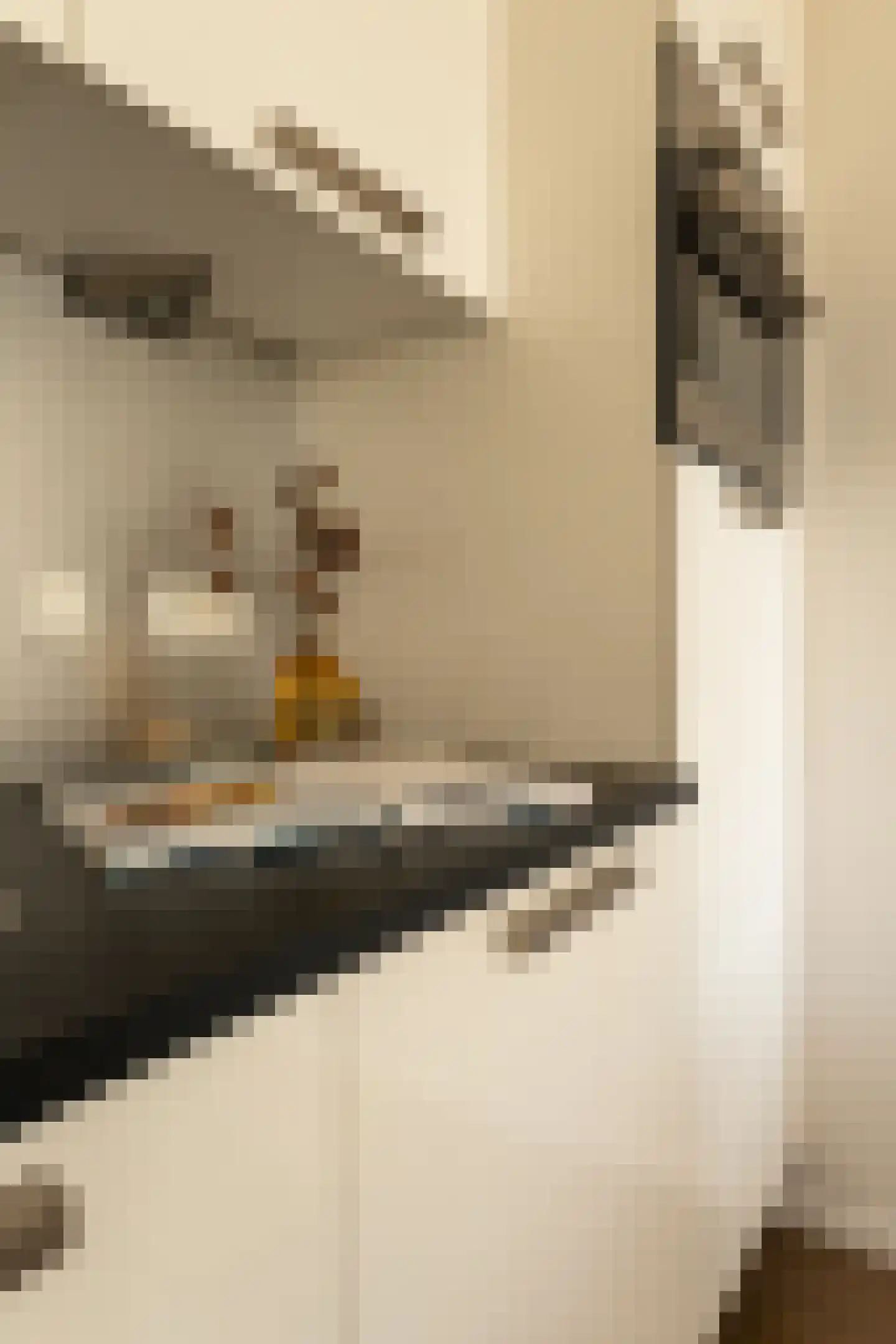 Schipluidenlaan 180 Amsterdam thumbnail 16