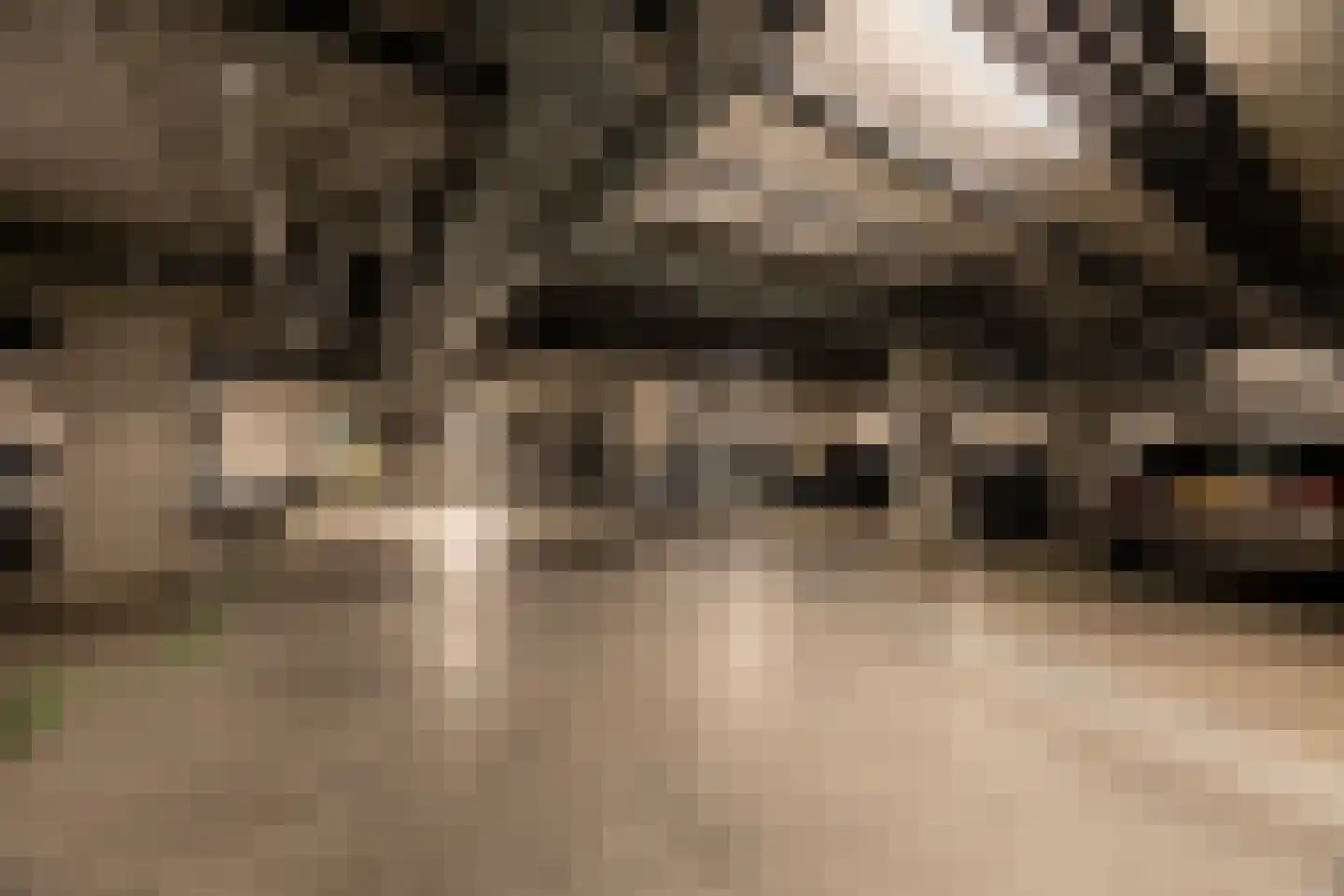 Schipluidenlaan 180 Amsterdam thumbnail 27