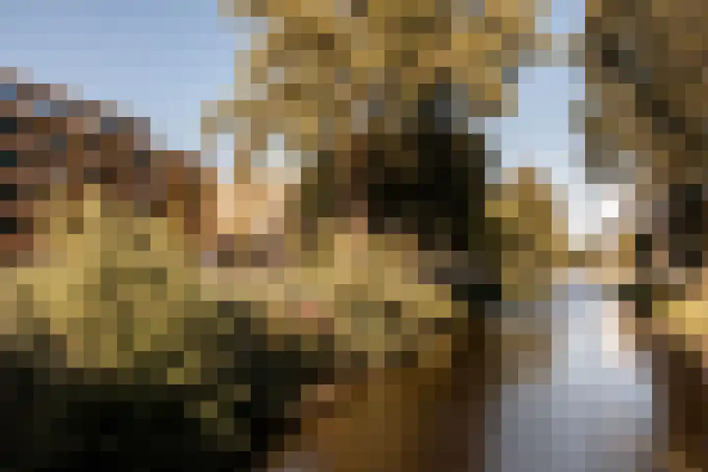 Schipluidenlaan 180 Amsterdam thumbnail 28