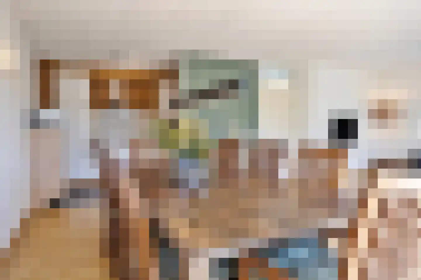 Schipluidenlaan 193 Tilburg thumbnail 15