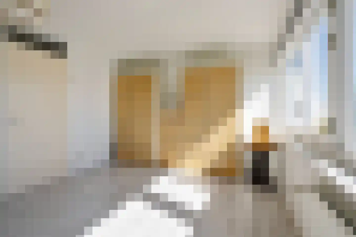 Schipluidenlaan 193 Tilburg thumbnail 21