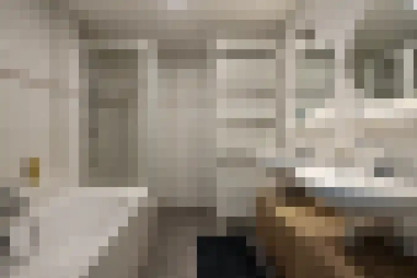 Schipluidenlaan 193 Tilburg thumbnail 22