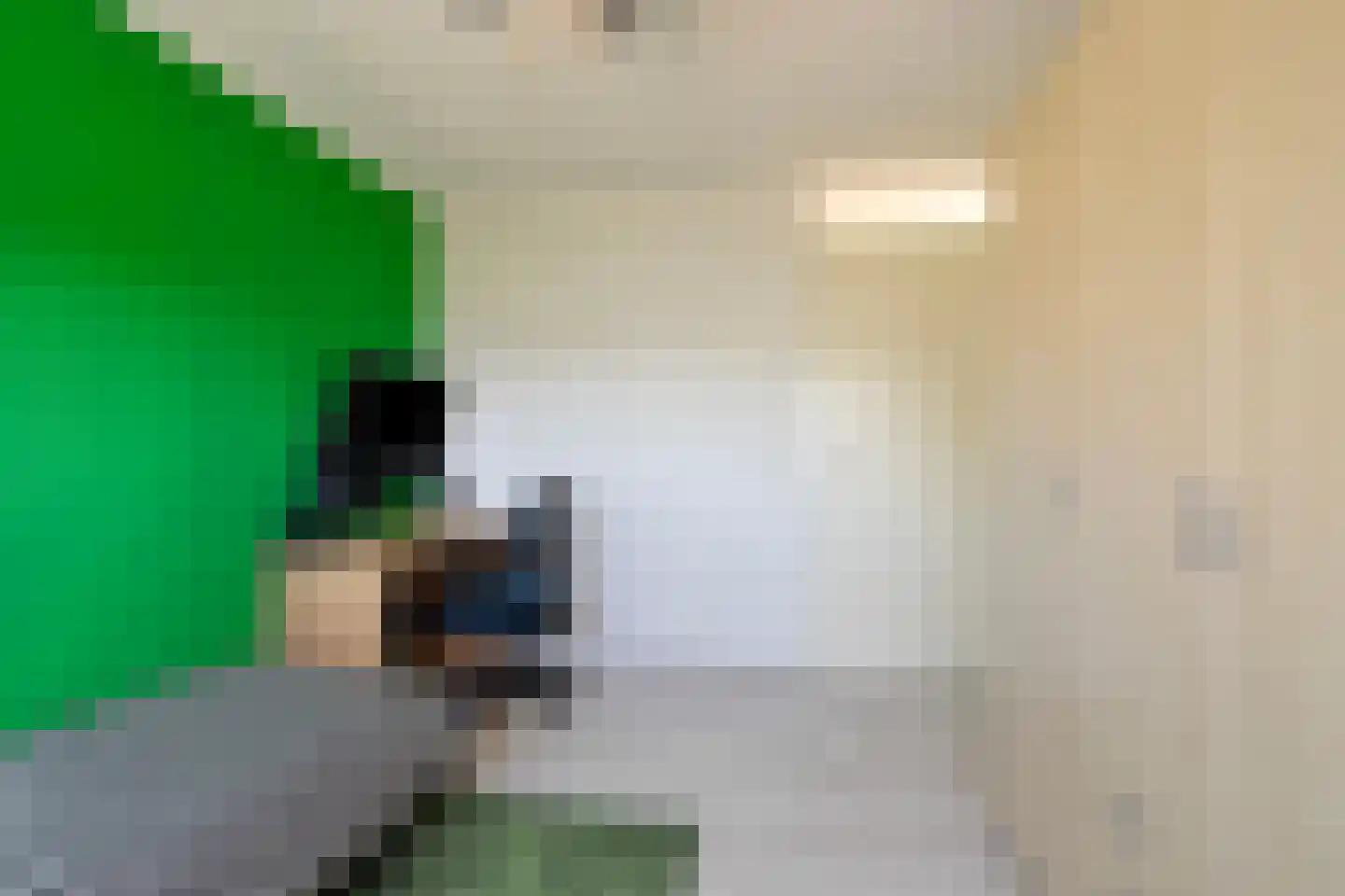 Schipluidenlaan 193 Tilburg thumbnail 33