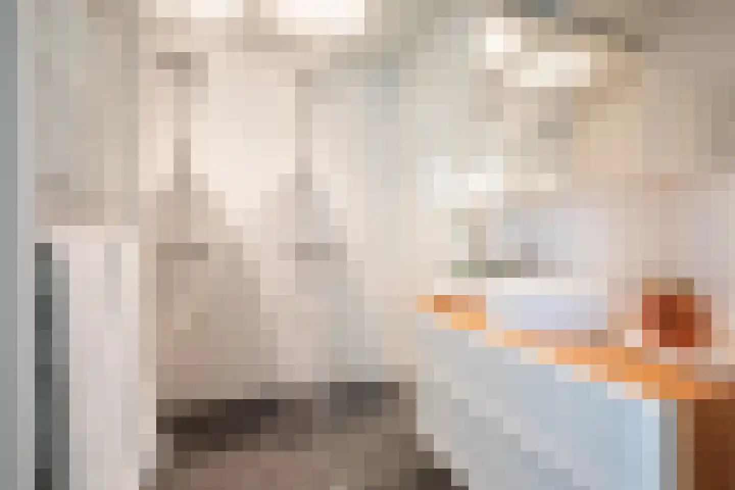 Schipluidenlaan 194 Amsterdam thumbnail 14