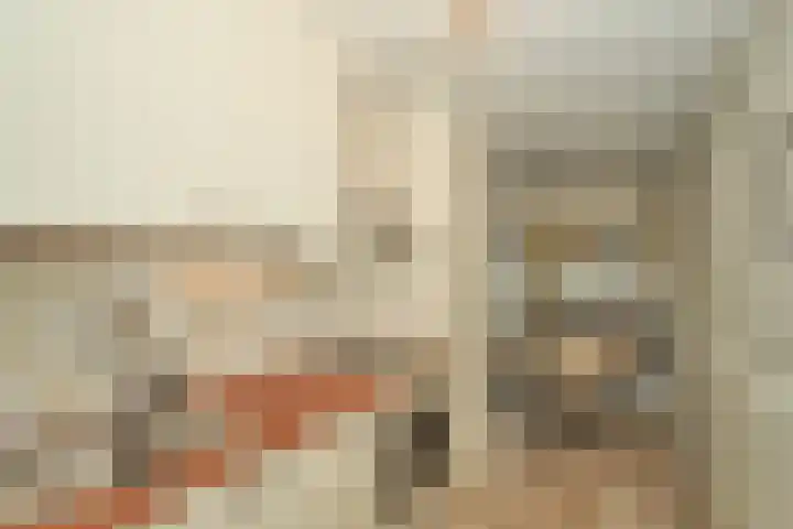 Schipluidenlaan 2 Tilburg thumbnail 10