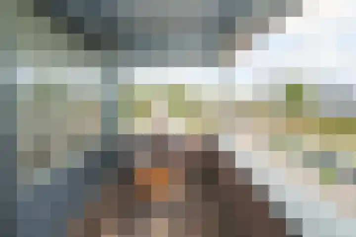 Schipluidenlaan 2 Tilburg thumbnail 11