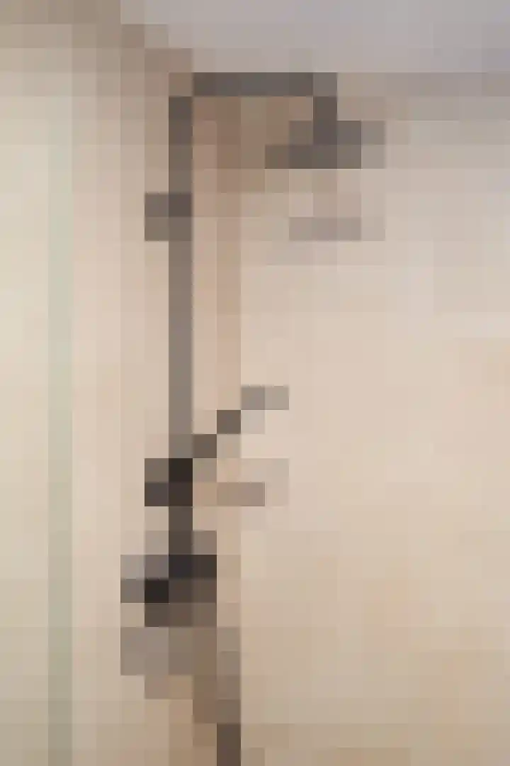 Schipluidenlaan 2 Tilburg thumbnail 15