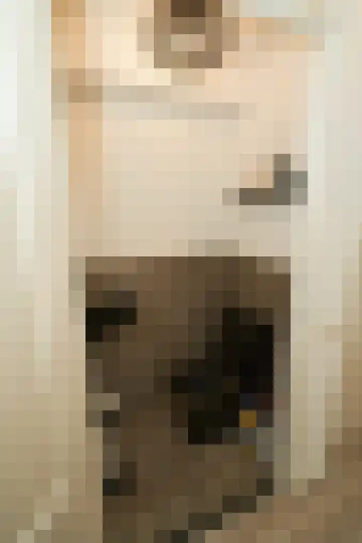Schipluidenlaan 2 Tilburg thumbnail 16