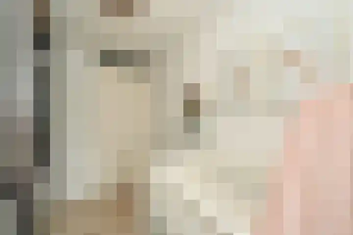 Schipluidenlaan 2 Tilburg thumbnail 19