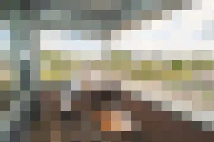 Schipluidenlaan 2 Tilburg thumbnail 4
