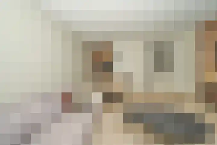 Schipluidenlaan 2 Tilburg thumbnail 8