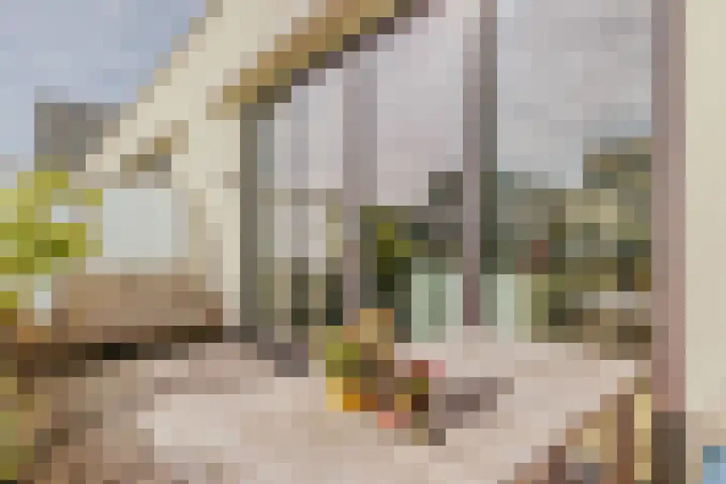 Schipluidenlaan 204 Amsterdam thumbnail 11