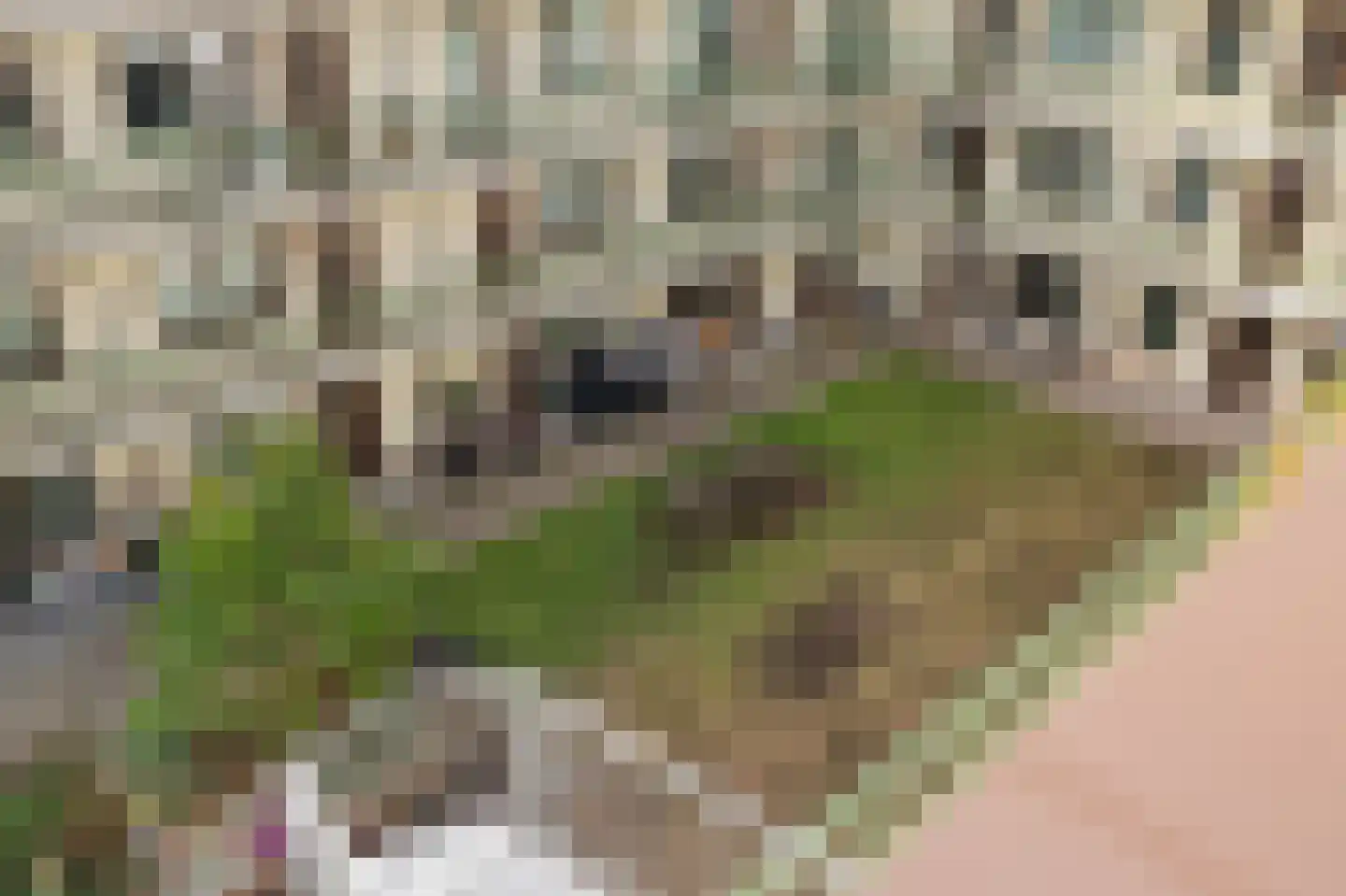Schipluidenlaan 204 Amsterdam thumbnail 15