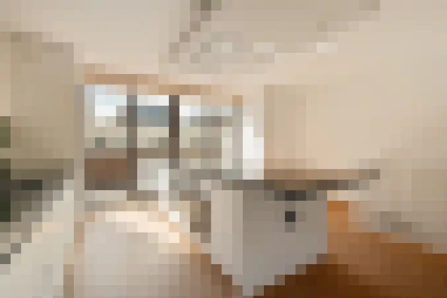 Schipluidenlaan 204 Amsterdam thumbnail 8