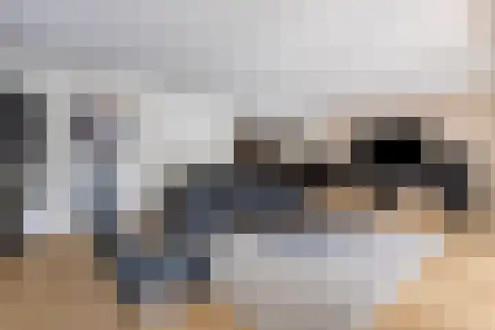 Schipluidenlaan 211 Tilburg thumbnail 16