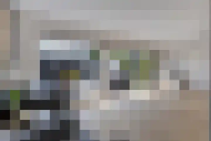 Schipluidenlaan 211 Tilburg thumbnail 19