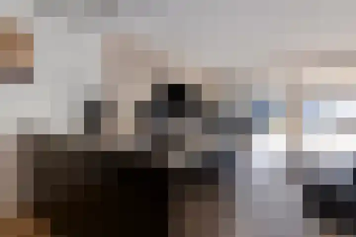 Schipluidenlaan 211 Tilburg thumbnail 20