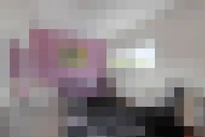 Schipluidenlaan 211 Tilburg thumbnail 24
