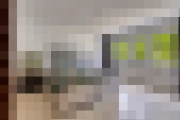 Schipluidenlaan 211 Tilburg thumbnail 28