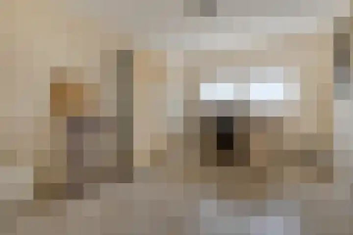 Schipluidenlaan 211 Tilburg thumbnail 29